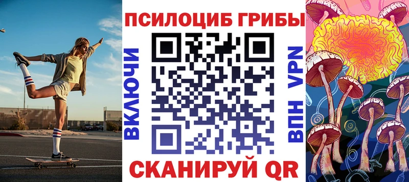 дарнет шоп  Изобильный  Псилоцибиновые грибы Psilocybe 